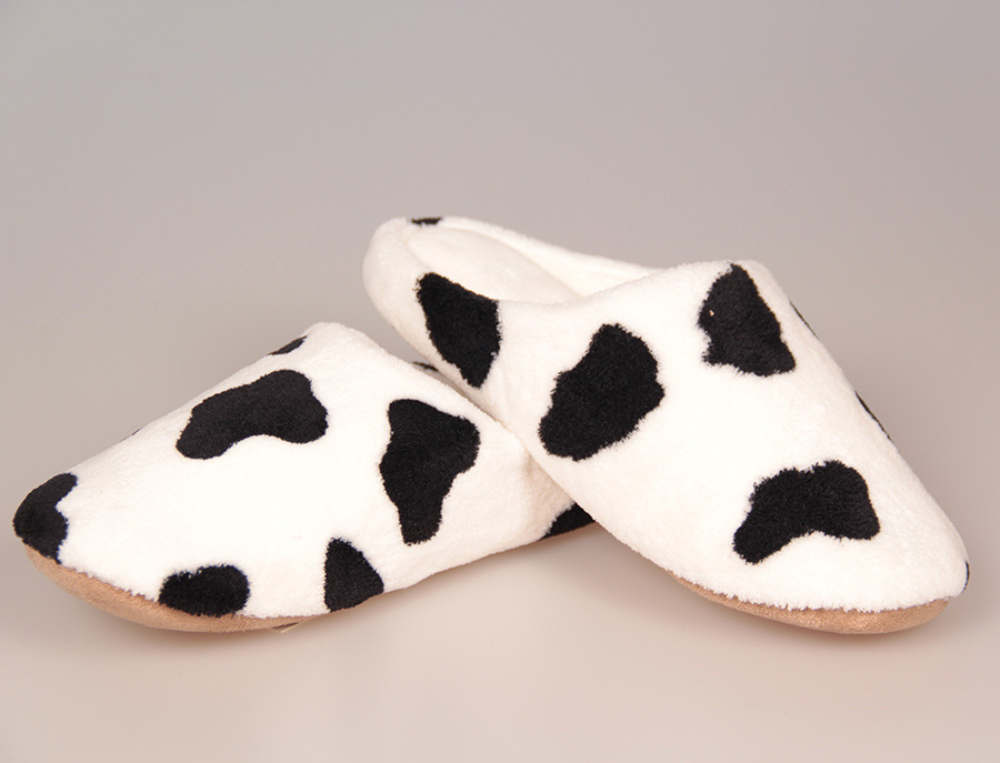 Slipper028